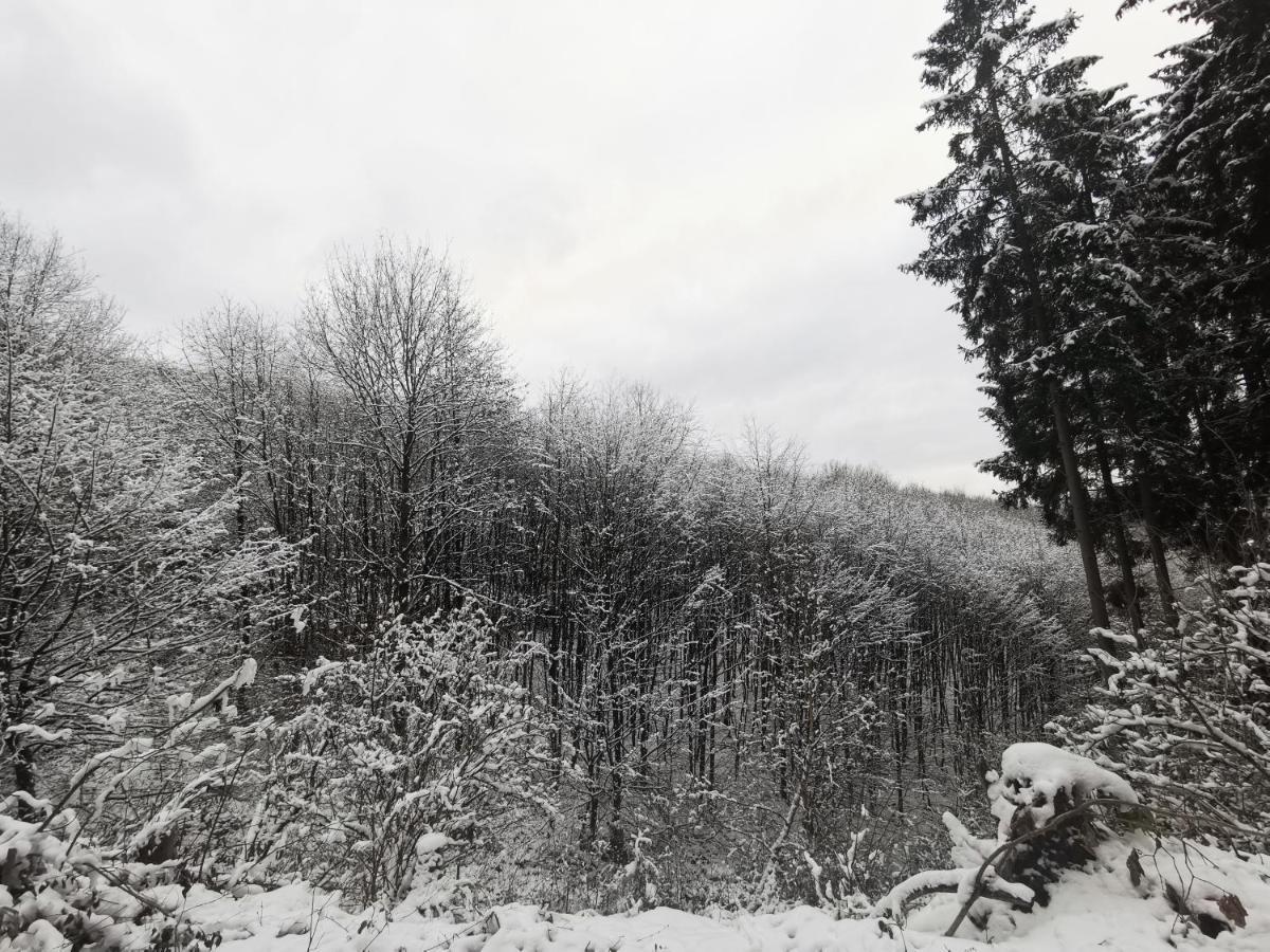 Ferienwohnung Rauszeit Lennestadt Sauerland Εξωτερικό φωτογραφία